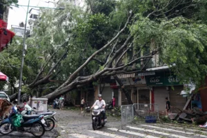 Vietnam Devastated by Typhoon Yagi: Death Toll Climbs to 59 Amid Widespread Flooding and Structural Collapse | mrk.news
